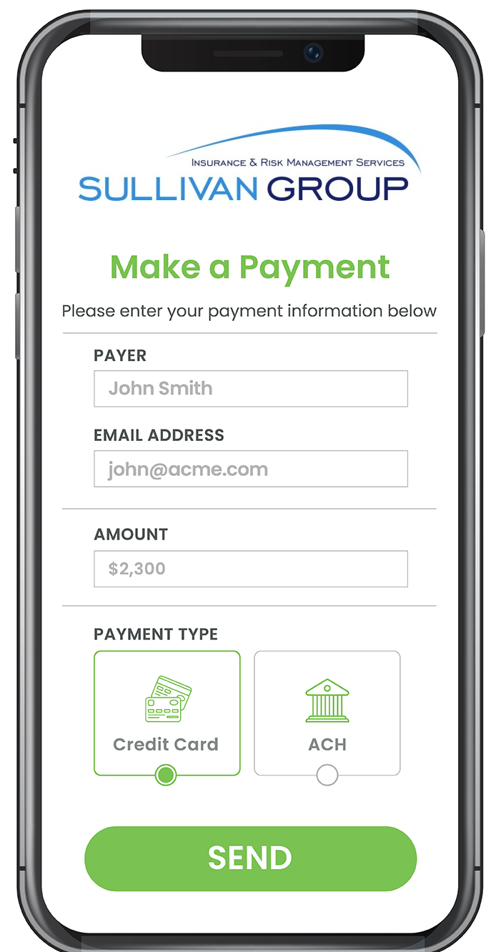 Screenshot of the payment portal